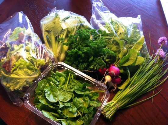 First CSA Harvest